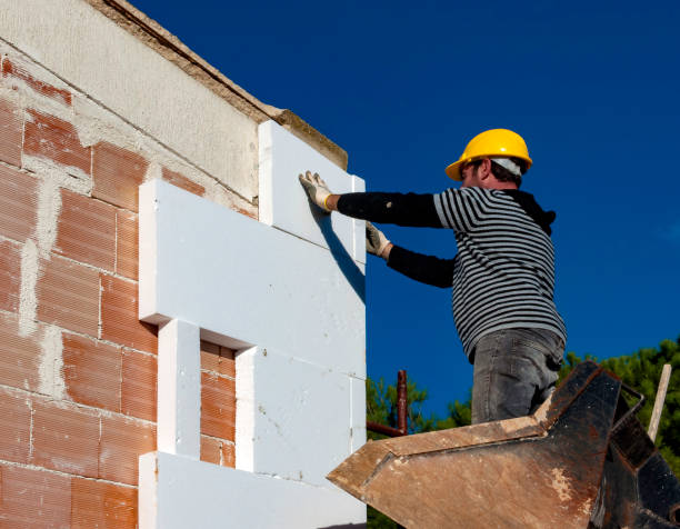 Best Cellulose Insulation  in Elm Springs, AR